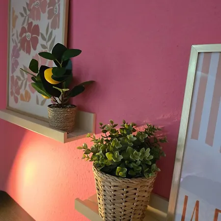 Privat bolig Bertha-marie Flamingo Lounge Greifswald